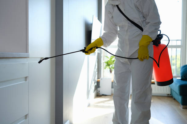 Best Home Mold Removal  in Pukalani, HI